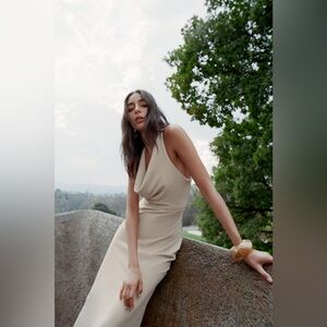 NWT ZARA GOLDEN APPLIQUÉ MIDI DRESS